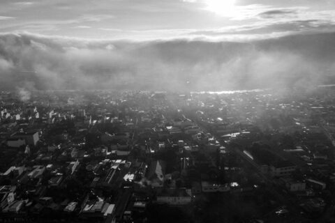 imtranchaumy22281761