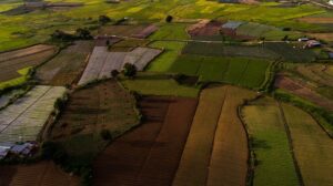 imtranchaumy22308967